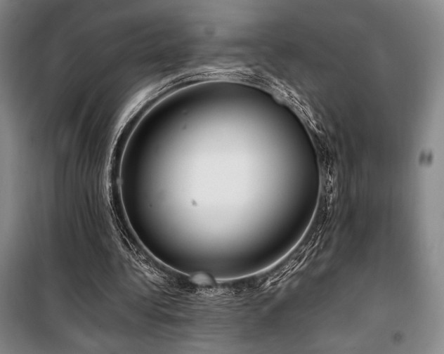 X0000100380340200806061223