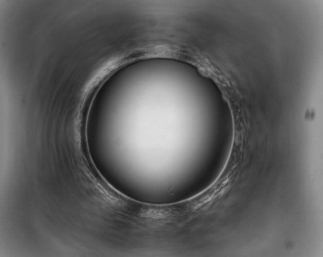 X0000100380341200806061223