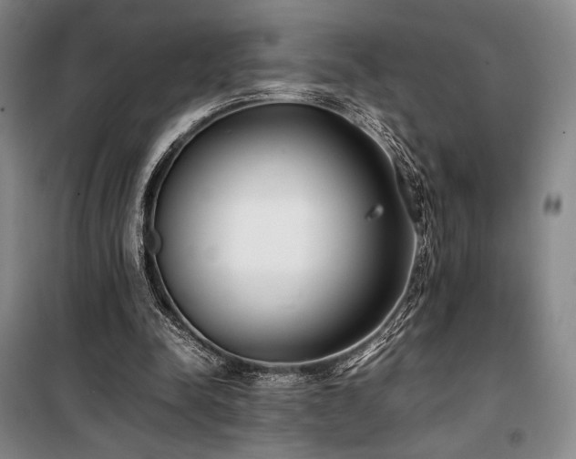 X0000100380342200806061223