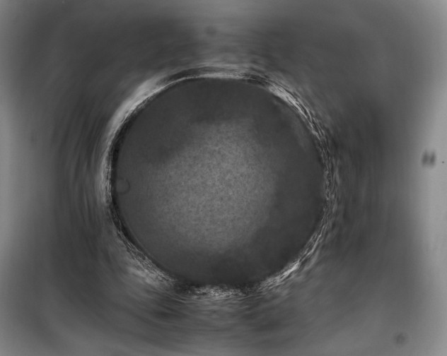 X0000100380343200806061223