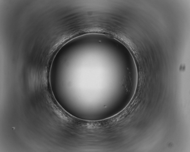 X0000100380345200806061223