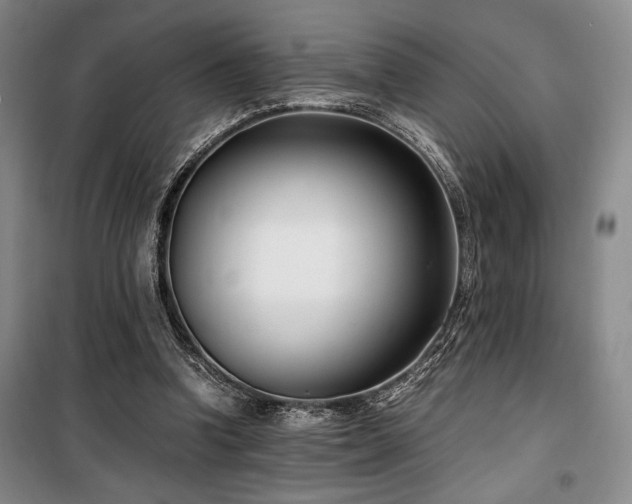 X0000100380346200806061224