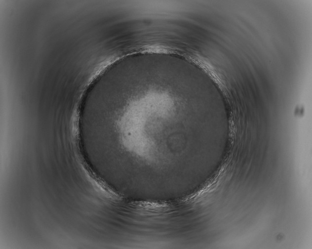 X0000100380347200806061224
