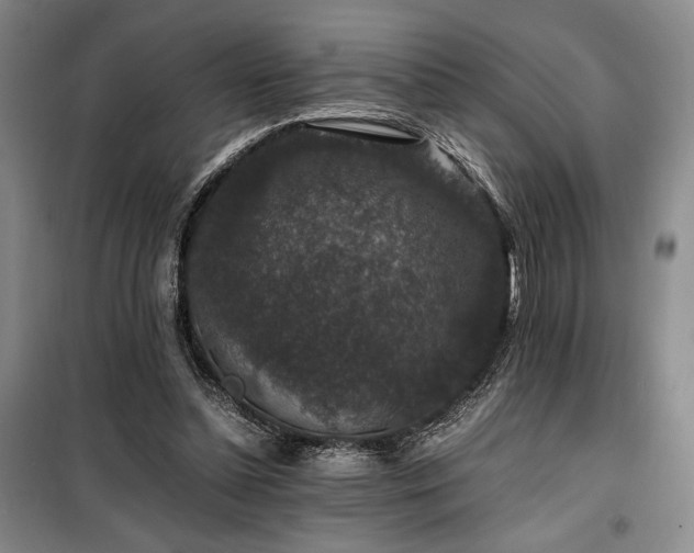 X0000100380348200806061224