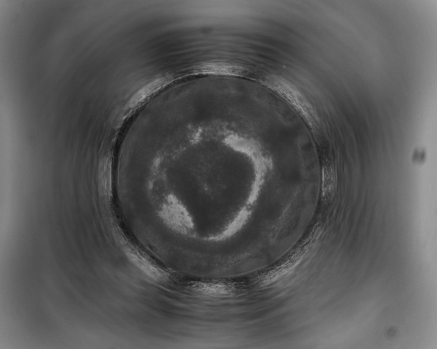 X0000100380349200806061224