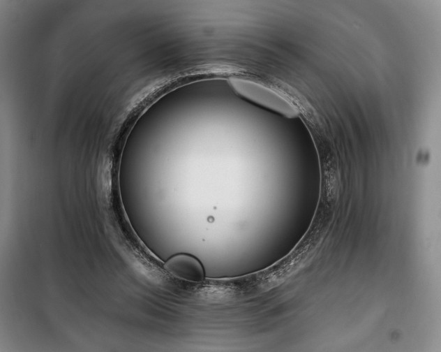 X0000100380350200806061224
