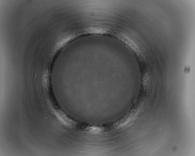 X0000100380352200806061224