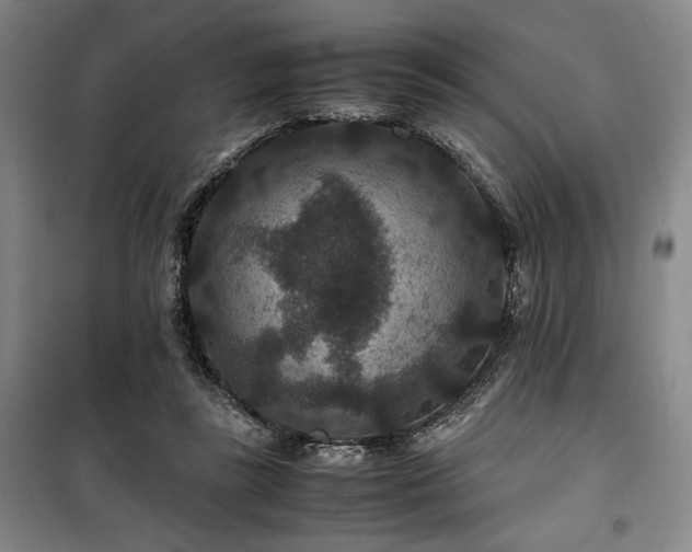 X0000100380355200806061224