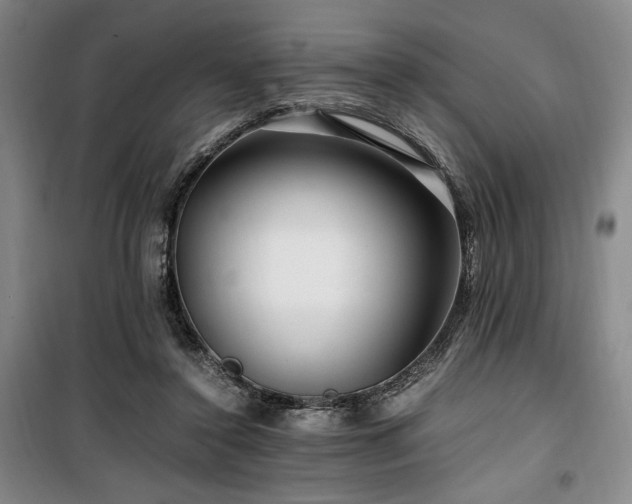 X0000100380356200806061224