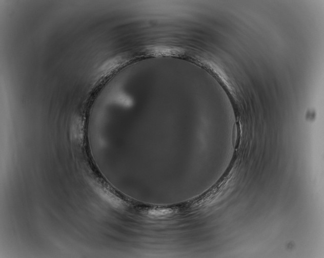 X0000100380357200806061224