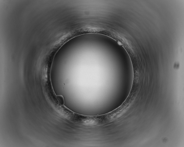 X0000100380358200806061224