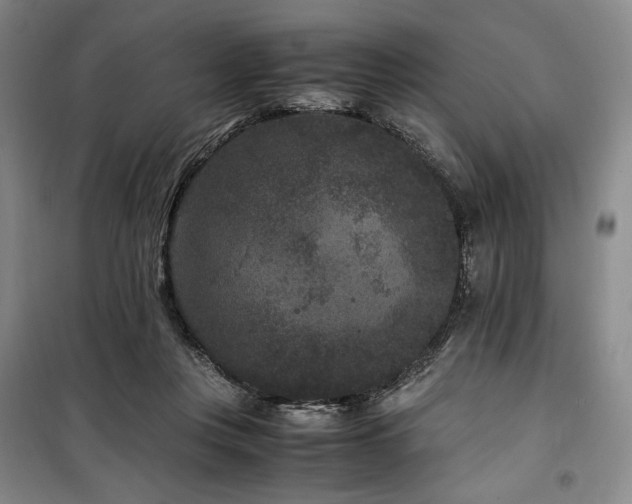 X0000100380359200806061224