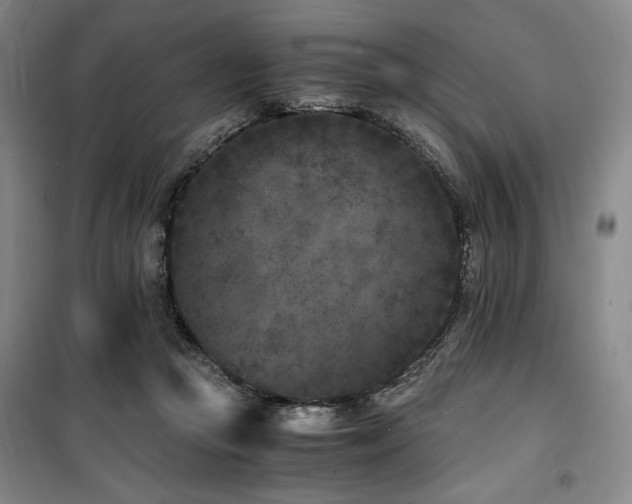 X0000100380361200806061224