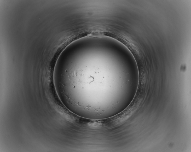 X0000100380362200806061224