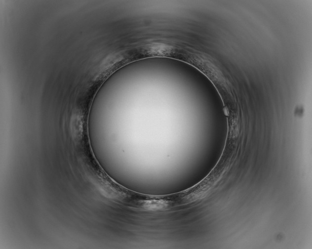 X0000100380363200806061224