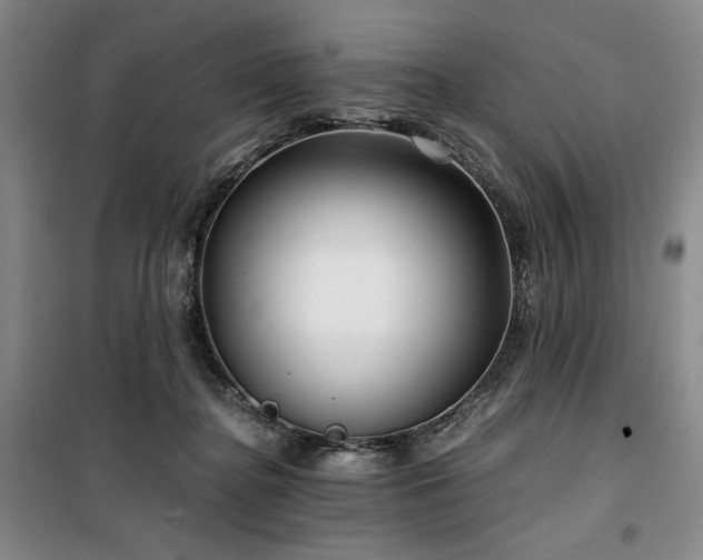X0000100380364200806061224