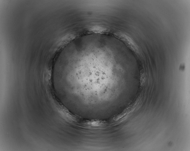 X0000100380365200806061224