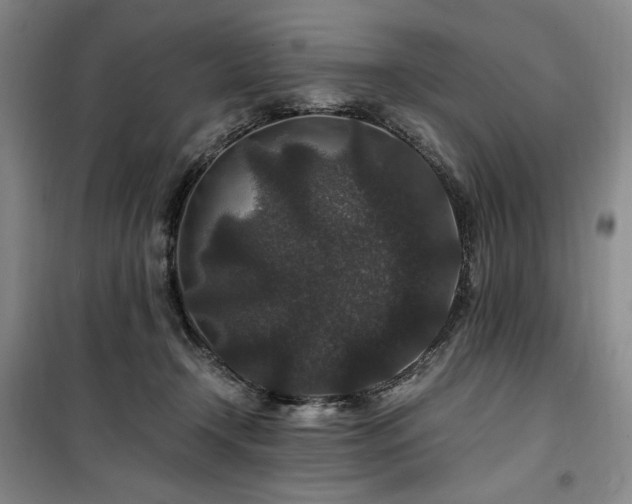 X0000100380366200806061224