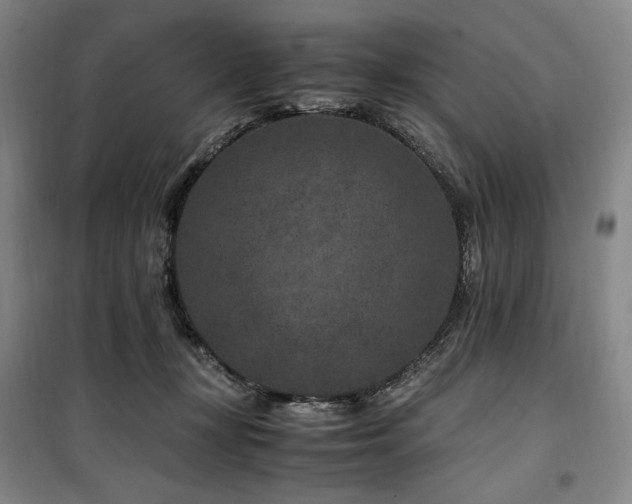 X0000100380367200806061224