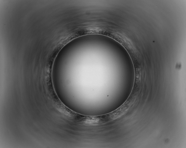 X0000100380369200806061224