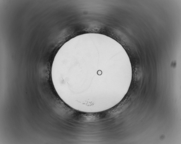 X0000100380370200806061224