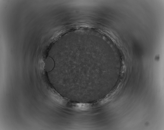 X0000100380371200806061224