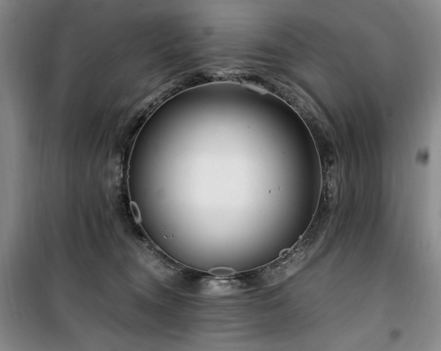 X0000100380372200806061224