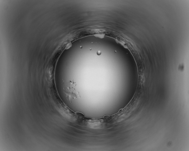 X0000100380373200806061224