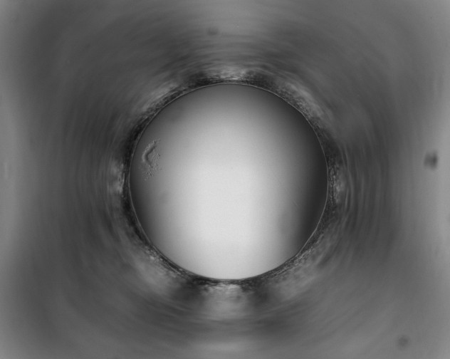 X0000100380374200806061224