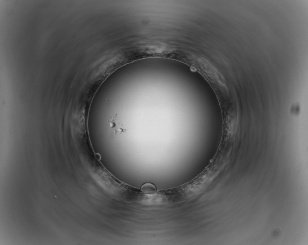 X0000100380376200806061224