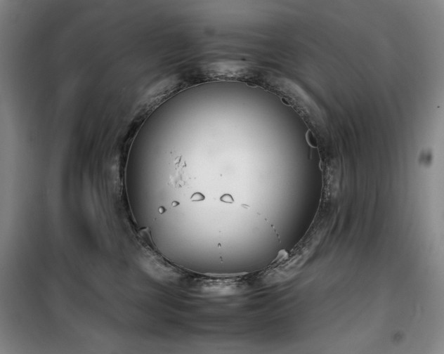 X0000100380377200806061224