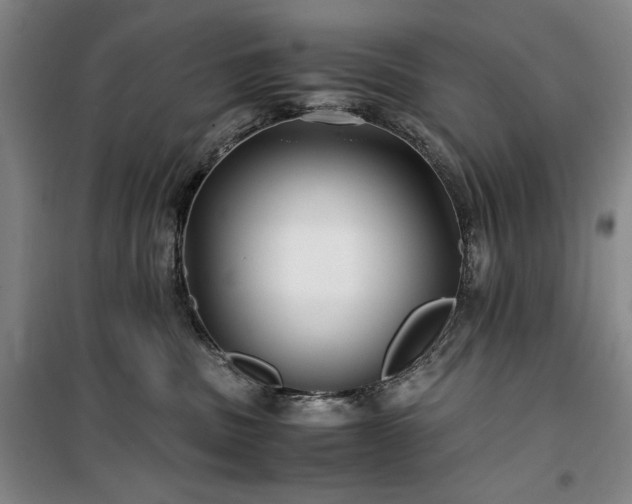 X0000100380379200806061224