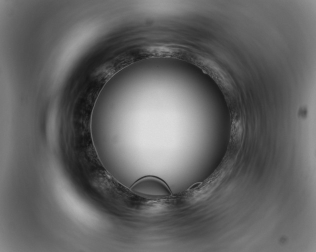 X0000100380381200806061224