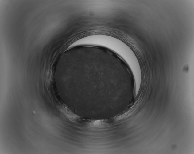 X0000100380382200806061224