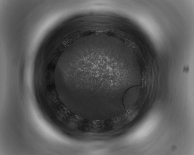 X0000100380383200806061224