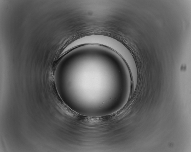X0000100380384200806061224
