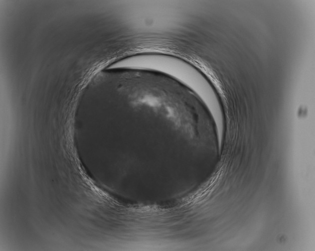 X0000100380385200806061223