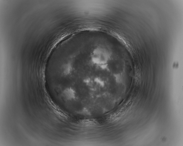 X0000100380386200806061223