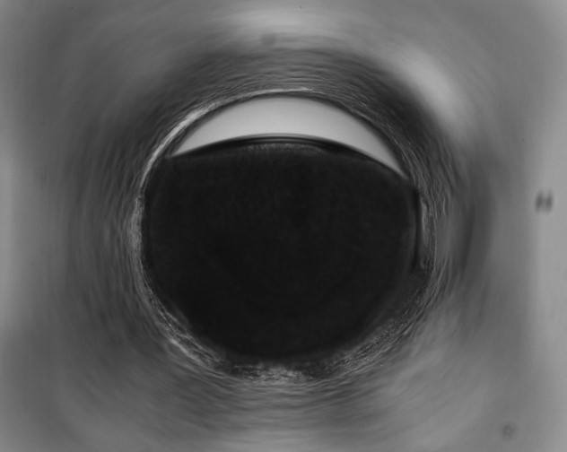 X0000100380387200806061223