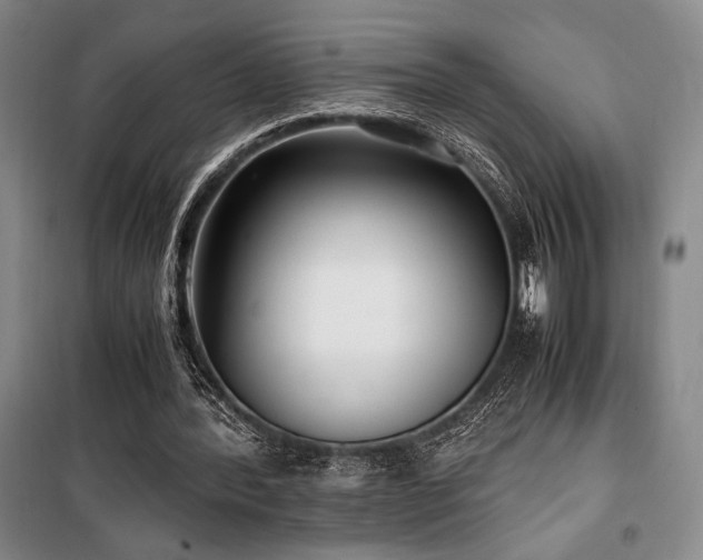 X0000100380388200806061223