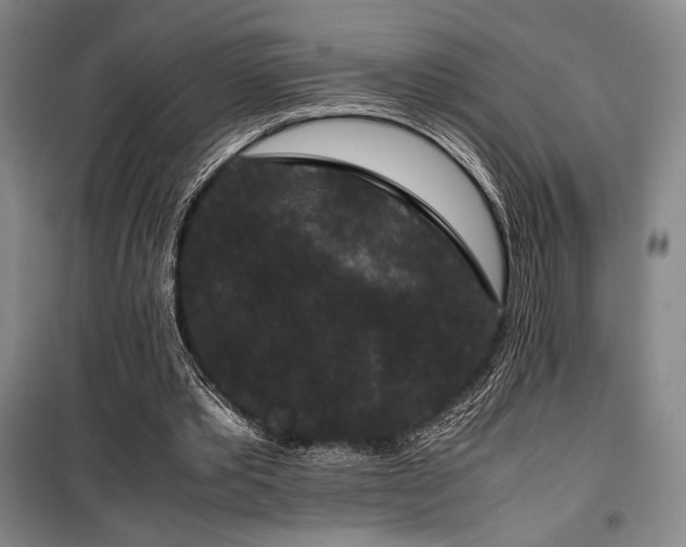 X0000100380389200806061223