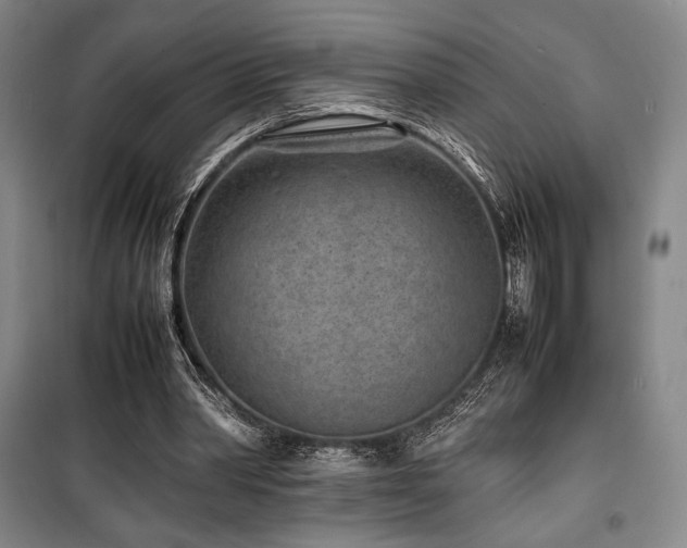 X0000100380390200806061223