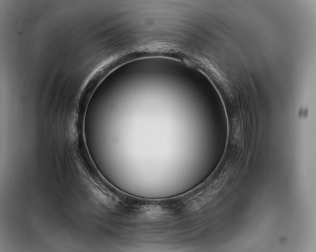 X0000100380392200806061223