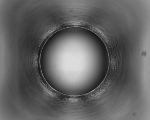 X0000100380394200806061223