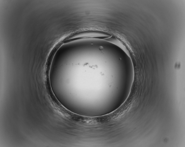 X0000100380395200806061223