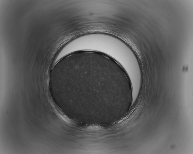 X0000100380397200806061223