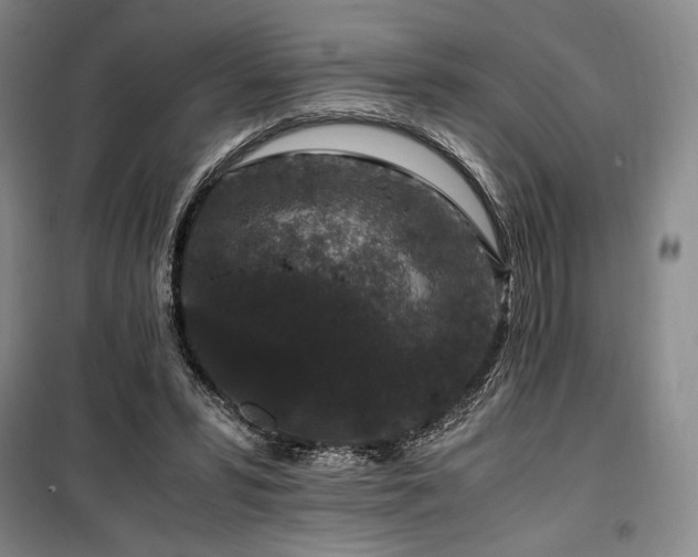 X0000100380399200806061223