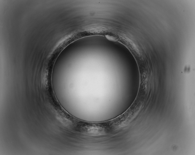 X0000100380400200806061223
