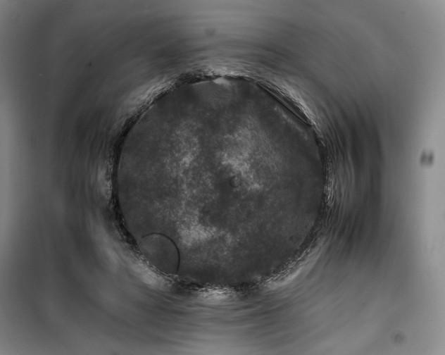 X0000100380402200806061223