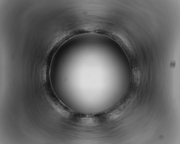 X0000100380404200806061223